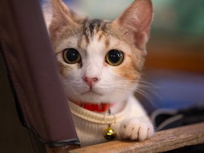 Small water bottle and a white towel on a bench